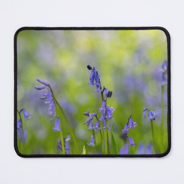 Item preview, A carpet of bluebell flowers in a woodland. designed and sold by RobThorley.