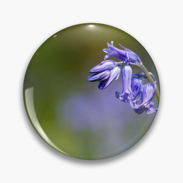 Item preview, A carpet of bluebell flowers in a woodland. designed and sold by RobThorley.