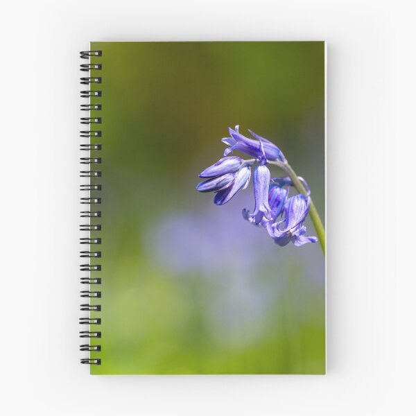 Item preview, A carpet of bluebell flowers in a woodland. designed and sold by RobThorley.