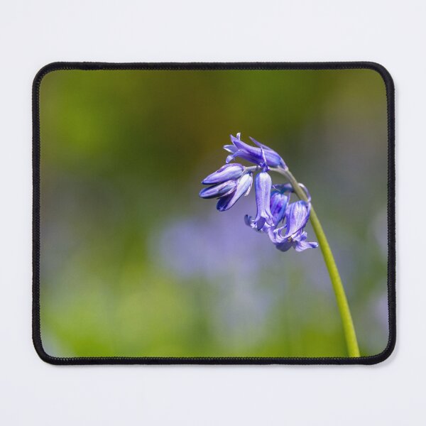 Item preview, A carpet of bluebell flowers in a woodland. designed and sold by RobThorley.