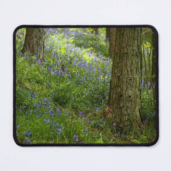 Item preview, A carpet of bluebell flowers in a woodland. designed and sold by RobThorley.