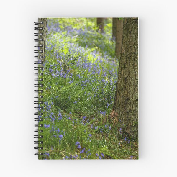 Item preview, A carpet of bluebell flowers in a woodland. designed and sold by RobThorley.
