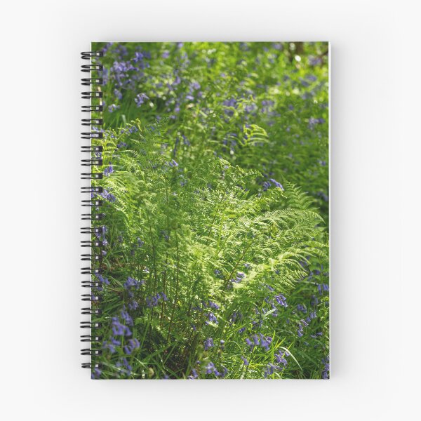 Item preview, A carpet of bluebell flowers in a woodland. designed and sold by RobThorley.