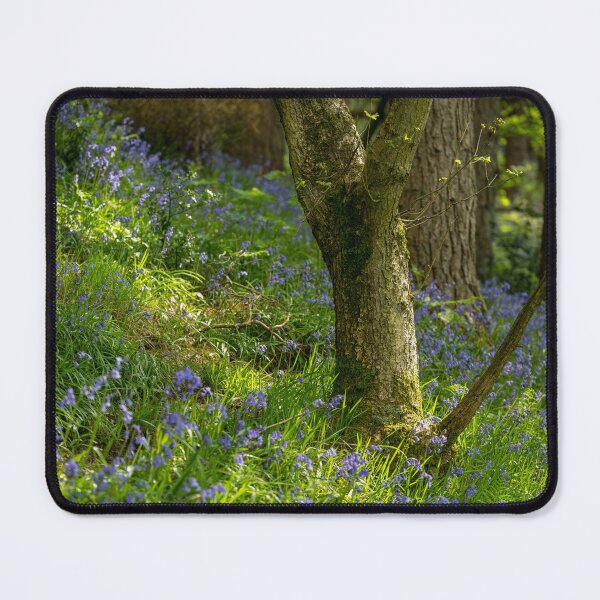 Item preview, A carpet of bluebell flowers in a woodland. designed and sold by RobThorley.