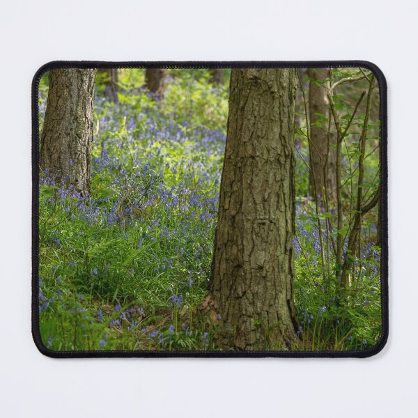Item preview, A carpet of bluebell flowers in a woodland. designed and sold by RobThorley.