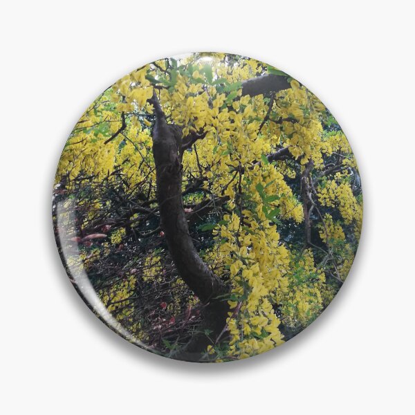 Item preview, Laburnum tree designed and sold by esvb.