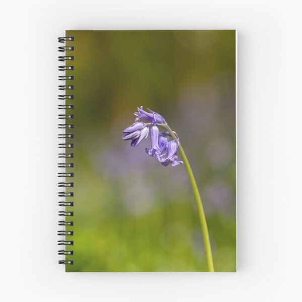 Item preview, Woodland Bluebell flowers using shallow depth of field. designed and sold by RobThorley.