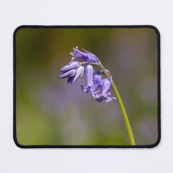 Item preview, Woodland Bluebell flowers using shallow depth of field. designed and sold by RobThorley.