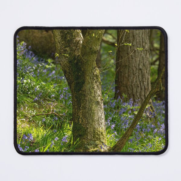 Item preview, Woodland Bluebell flowers with shallow depth of field. designed and sold by RobThorley.