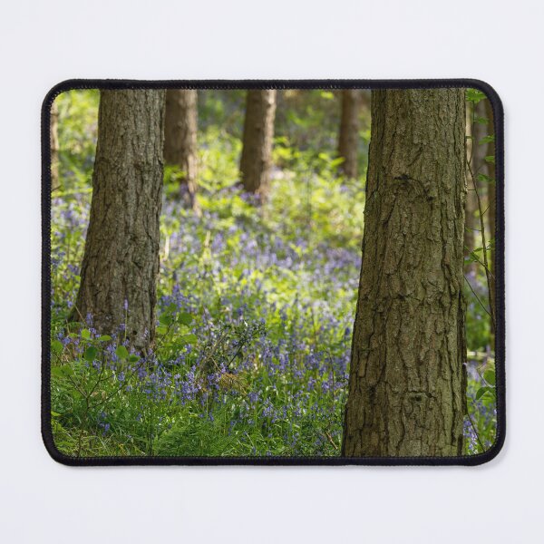 Item preview, Woodland Bluebell flowers with shallow depth of field. designed and sold by RobThorley.