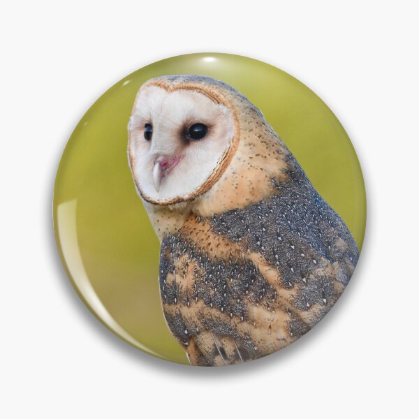 Item preview, Perched Barn Owl designed and sold by richardbryce.