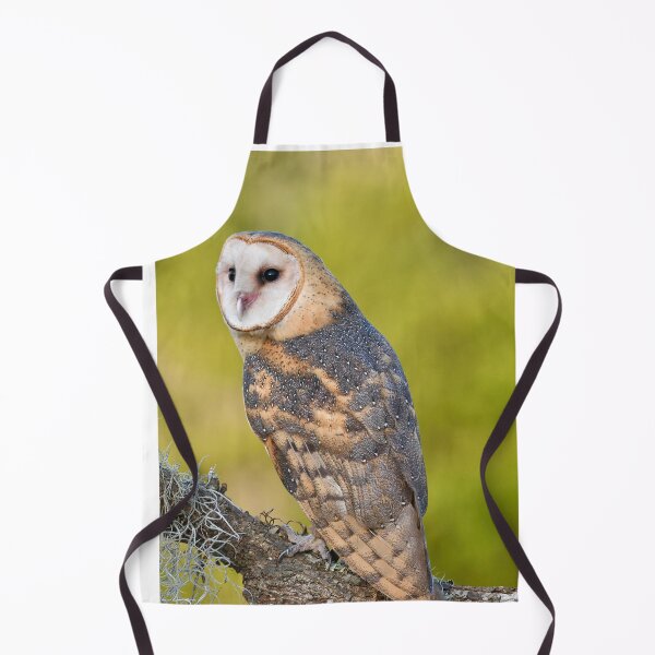 Item preview, Perched Barn Owl designed and sold by richardbryce.