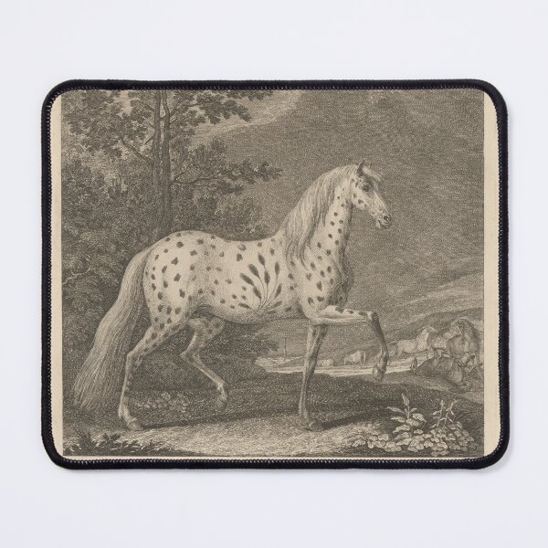 Item preview, Horse Engraving, Baroque Appaloosa, PRE Leopard Spotted Horse , by Johann Elias Ridinger, 1745 designed and sold by queen-consort.