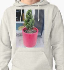 Building, Skyscraper, New York, Manhattan, Street, Pedestrians, Cars, Towers, morning, trees, subway, station Pullover Hoodie