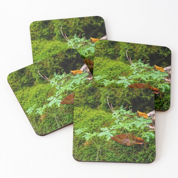 Item preview, Fallen Autumn Leaf on a Bed of Moss designed and sold by jrtwynam.