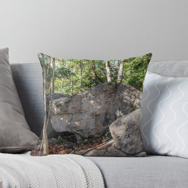 Item preview, Dog Boulder at Jones Falls, Ontario designed and sold by jrtwynam.