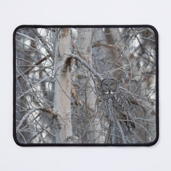 Item preview, Great Gray Owl In The Woods designed and sold by Andrea King.