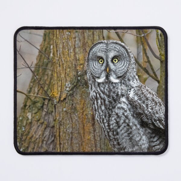 Item preview, Great Gray Owl designed and sold by Andrea King.