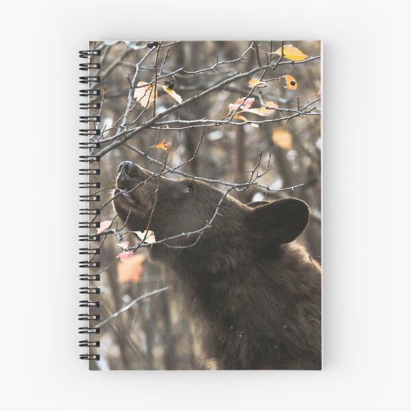 Item preview, Black Bear in the Fall designed and sold by Andrea King.