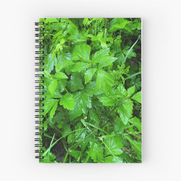 Item preview, Wet Leaves in a Rainstorm  designed and sold by CJRPics.