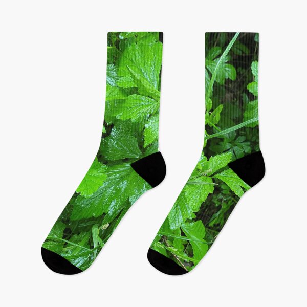 Item preview, Wet Leaves in a Rainstorm  designed and sold by CJRPics.