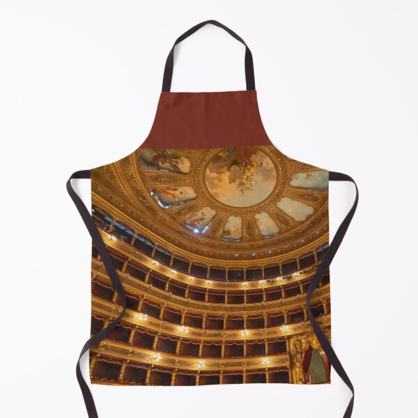 Item preview, Italy. Sicily. Palermo. Teatro Massimo. The auditorium. designed and sold by vadim19.