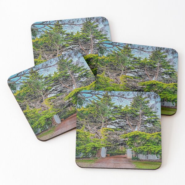 Item preview, The Amazing Driveway Entrance - Black Forest, Victoria, Australia designed and sold by Steven Jodoin.