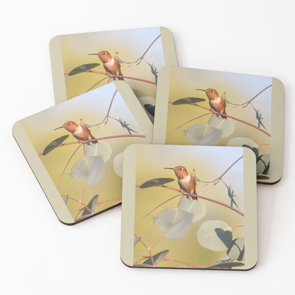 Item preview, Rufous Hummingbird on Silver Dollar Eucalyptus Tree designed and sold by CarolM.