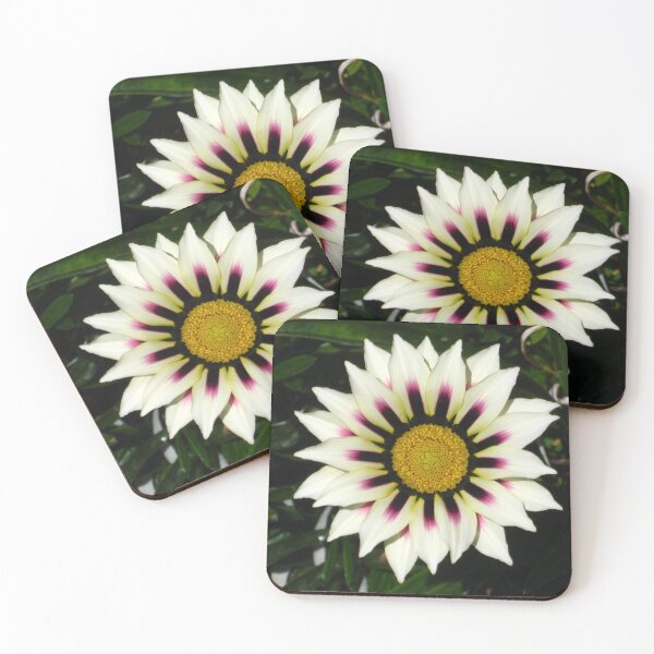 Item preview, Dark Sunburst White Gazania Featuring Black and Purple Accents Plus a Sunny Yellow Center designed and sold by JoyousArt4u.
