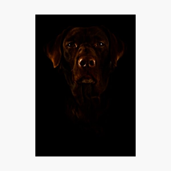 Item preview, Chocolate Lab designed and sold by Katseyes.