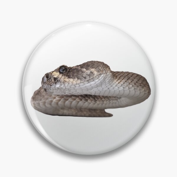 Item preview, Diamondback Rattlesnake designed and sold by Creative Endeavors ..