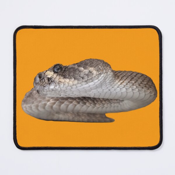 Item preview, Diamondback Rattlesnake designed and sold by Creative Endeavors ..