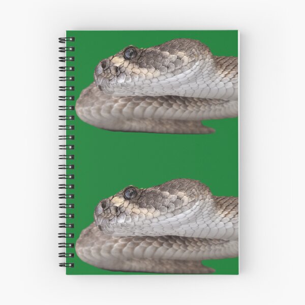 Item preview, Diamondback Rattlesnake designed and sold by Creative Endeavors ..