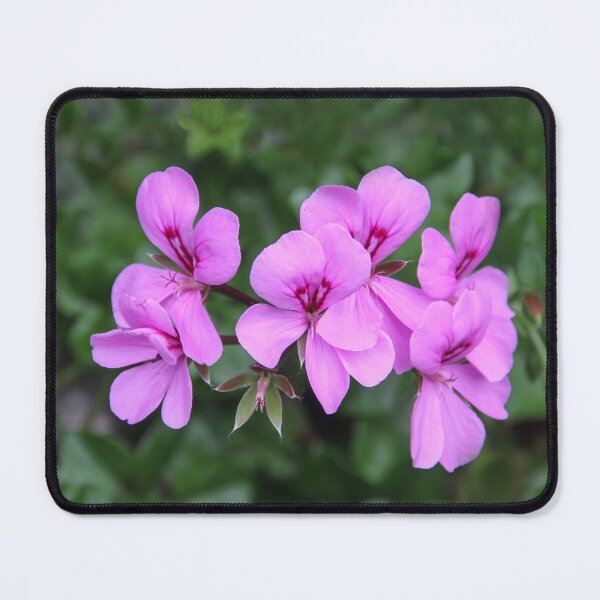 Item preview, Spring Bloom designed and sold by heatherfriedman.