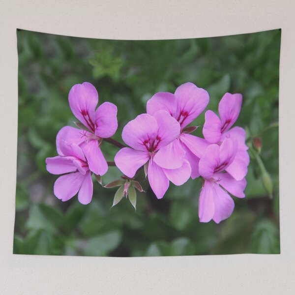 Item preview, Spring Bloom designed and sold by heatherfriedman.