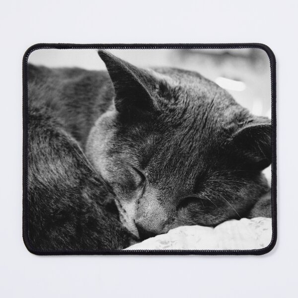 Item preview, CAT SLEEPS designed and sold by corichard.