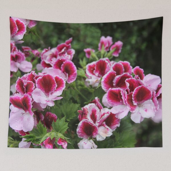 Item preview, Glorious Geranium designed and sold by heatherfriedman.