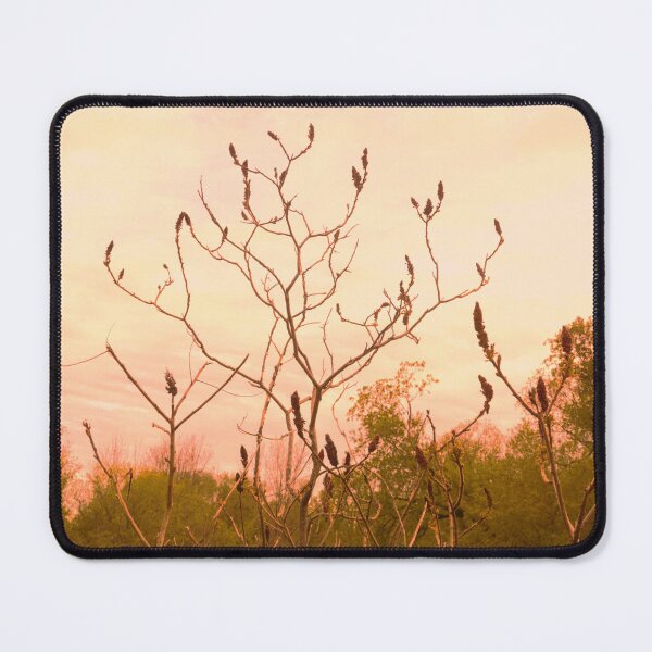 Item preview, Spring time in Toronto designed and sold by corichard.