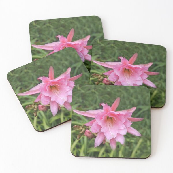 Item preview, Cactus In Bloom designed and sold by heatherfriedman.