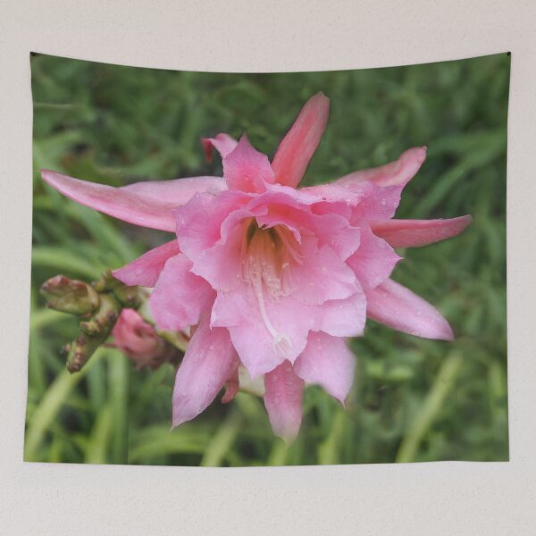 Item preview, Cactus In Bloom designed and sold by heatherfriedman.