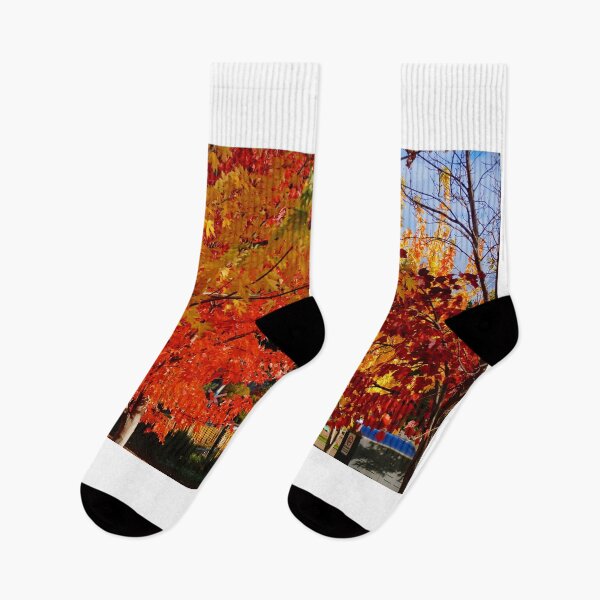 Item preview, Autumn Trees  designed and sold by D-GaP.