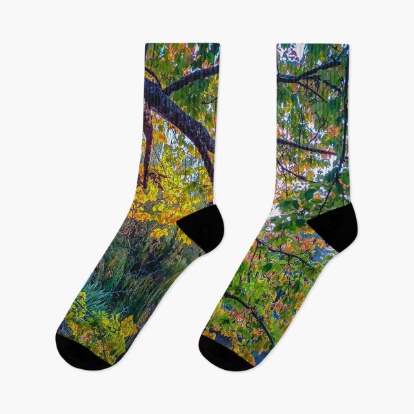 Item preview, Autumnal Colour change midway at the Botanical Gardens - Malmsbury, Victoria, Australia designed and sold by Steven Jodoin.