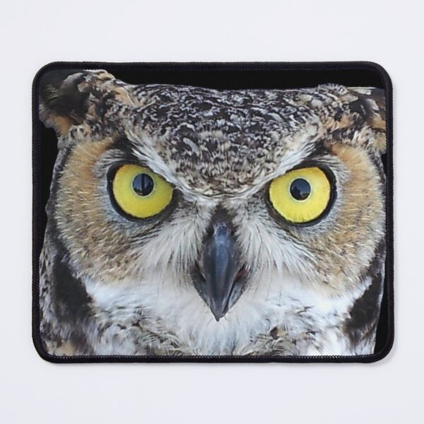 Item preview, Horned owl with piercing yellow eyes designed and sold by Creative Endeavors ..
