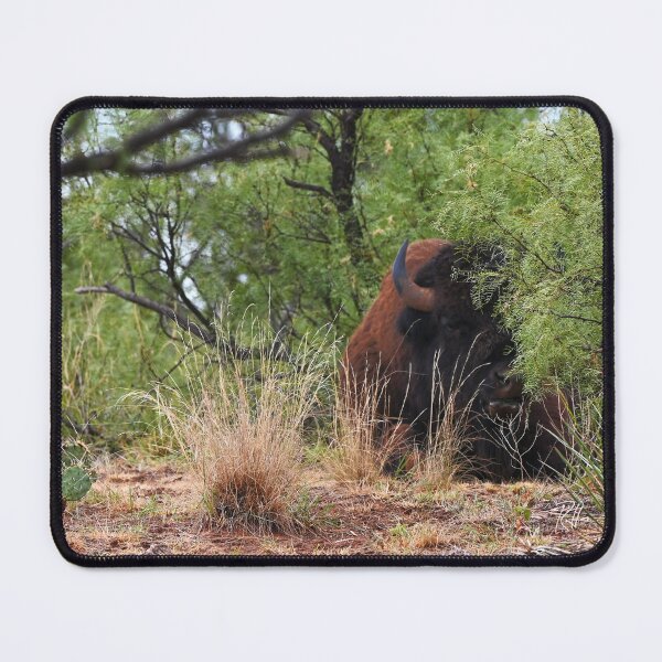 Item preview, Bison in the Bushes Behind my Tent designed and sold by Randy Heffner.