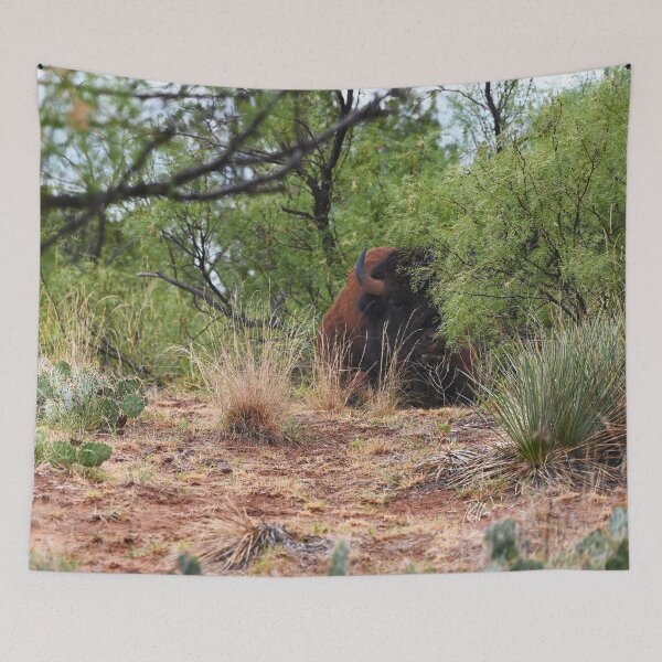 Item preview, Bison in the Bushes Behind my Tent designed and sold by Randy Heffner.