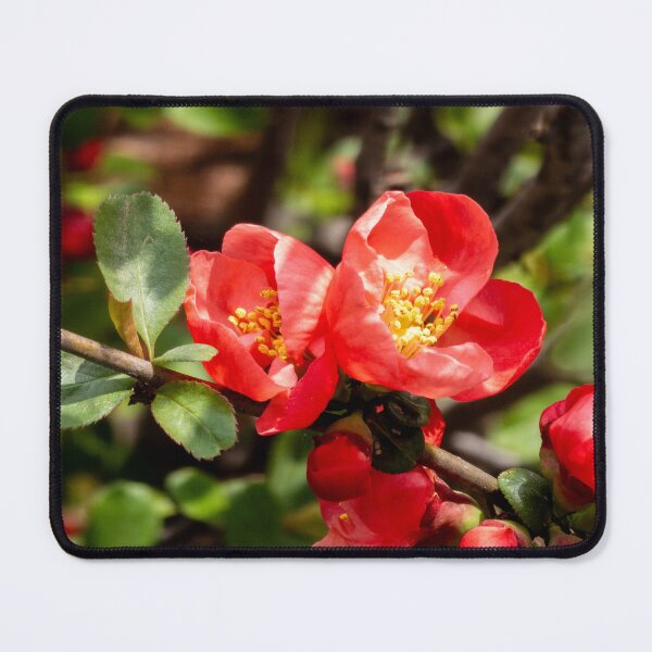 Item preview, flor roja designed and sold by yunee.