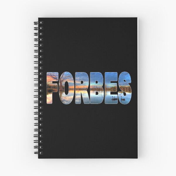 Item preview, FORBES - NSW Australia Lake Forbes Sunset Swans designed and sold by Adam Gormley.