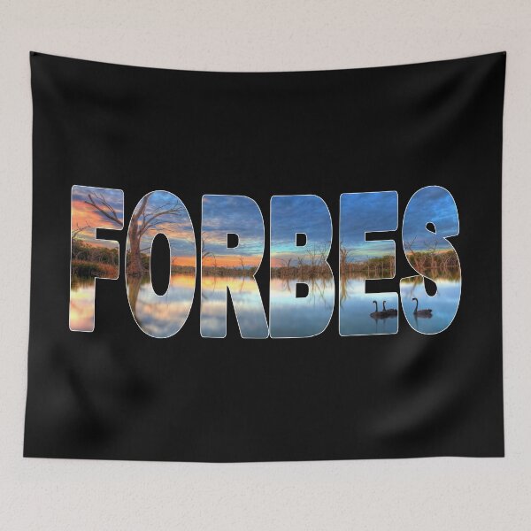 Item preview, FORBES - NSW Australia Lake Forbes Sunset Swans designed and sold by Adam Gormley.