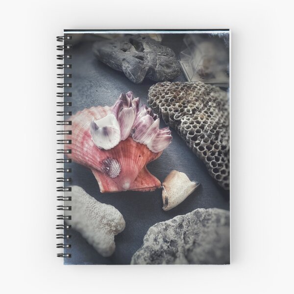 Item preview, Cabinet of Curiosities 7 designed and sold by Phoenix Artifex.
