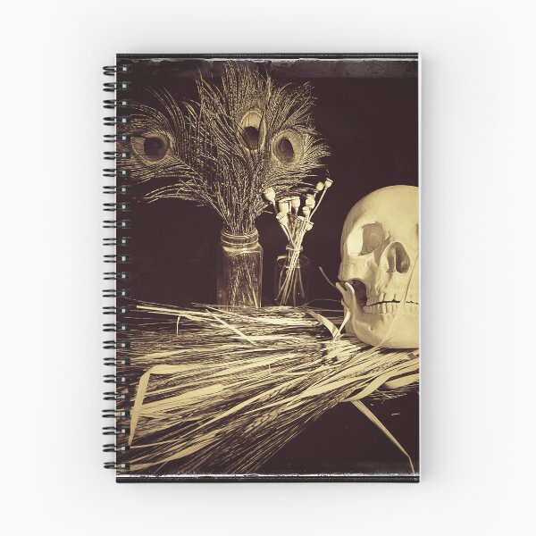 Item preview, Cabinet of Curiosities 4 designed and sold by Phoenix Artifex.